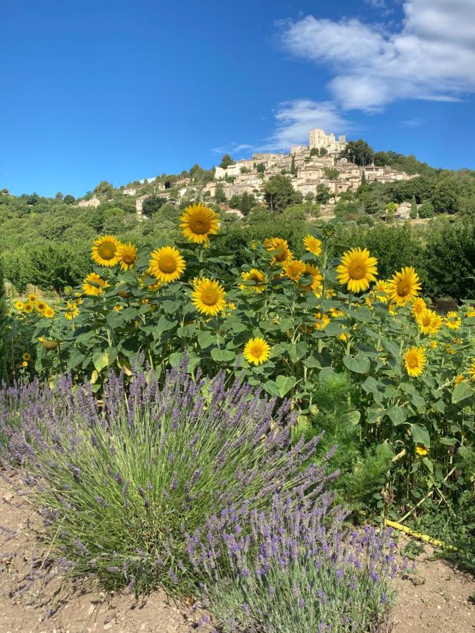 Les Cabanes De La Fontaine Lacoste  Dış mekan fotoğraf