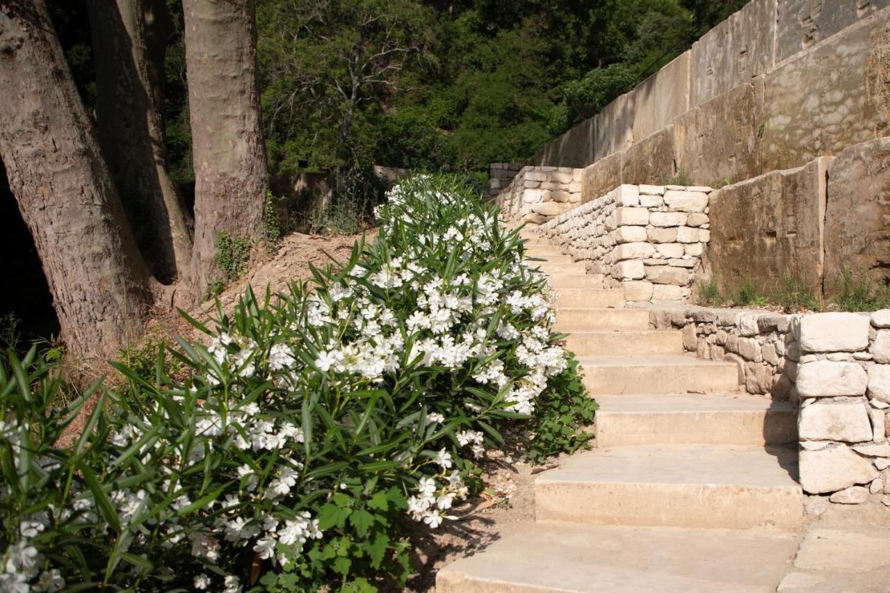 Les Cabanes De La Fontaine Lacoste  Dış mekan fotoğraf