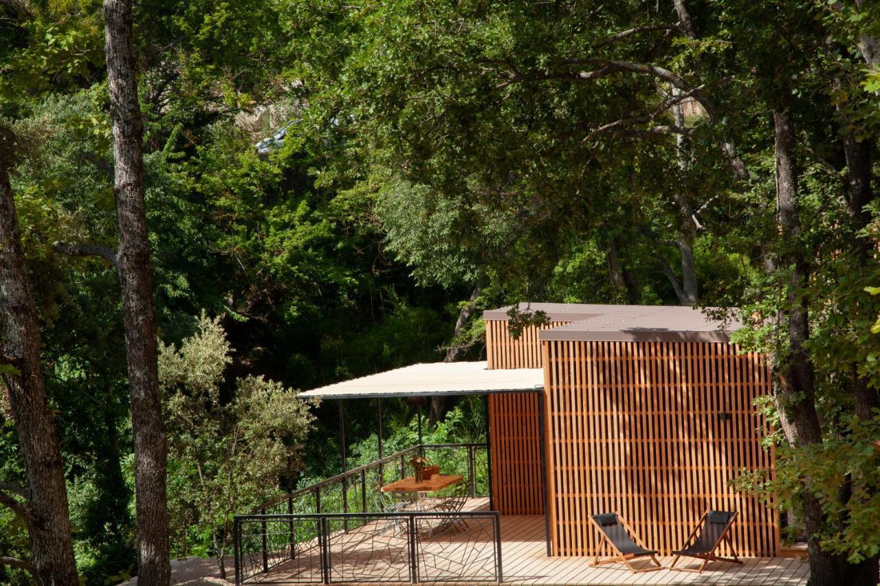 Les Cabanes De La Fontaine Lacoste  Dış mekan fotoğraf